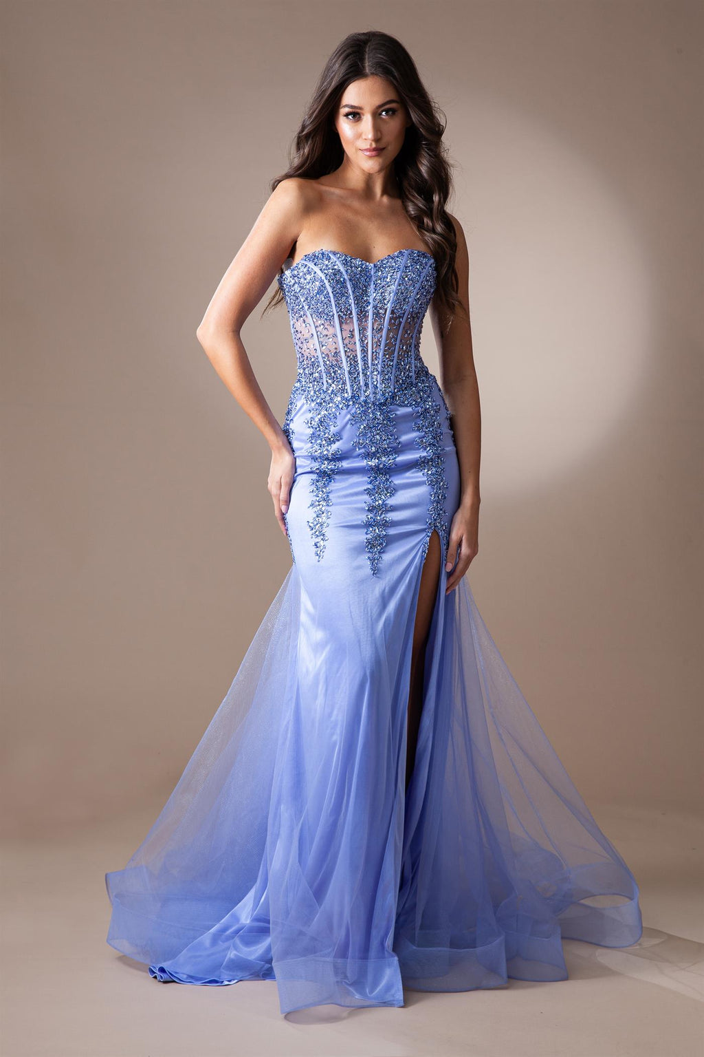 Sheer Embroidered Lace Side Slit Open Back Long Prom Dress AC7051