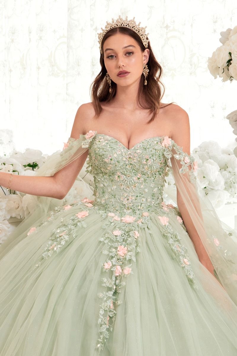 SAGE BALL GOWN WITH BLUSH FLORAL DETAILS CD15716