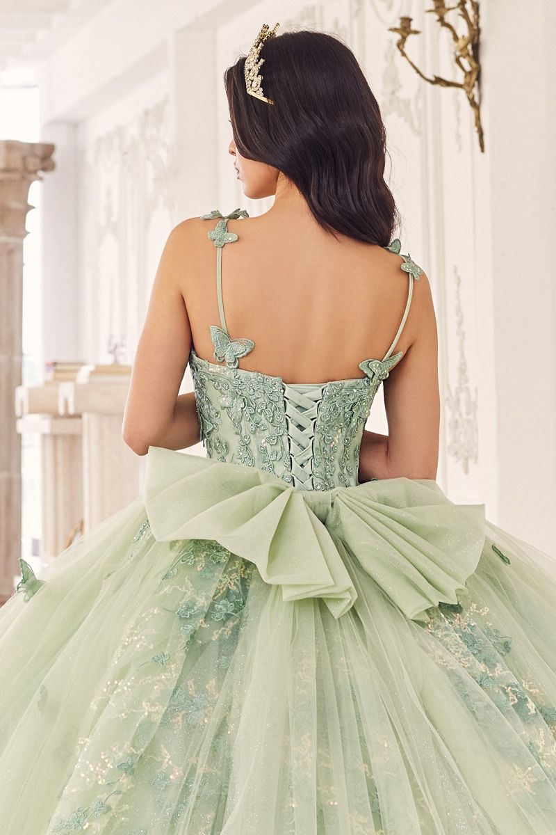 Sage Green | Butterfly Tulle Quinceañera Ball Gown with Beaded Bodice & Sweetheart Neckline  CD15718