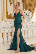Side Slit Embroidered Lace Bodice Open V-Back Long Prom Dress NXC1100