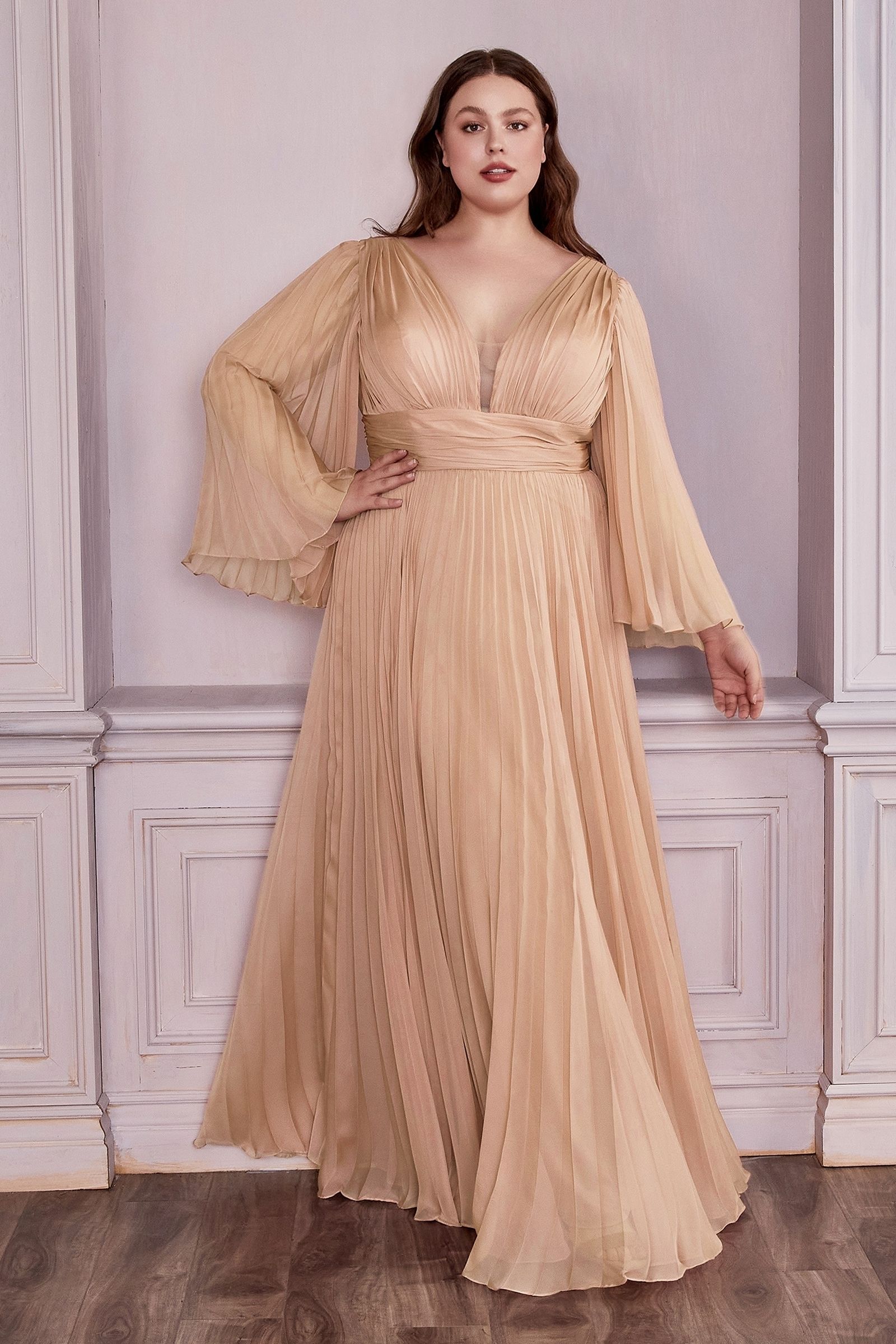 Chiffon Gown, Long Sleeve CDCD242C