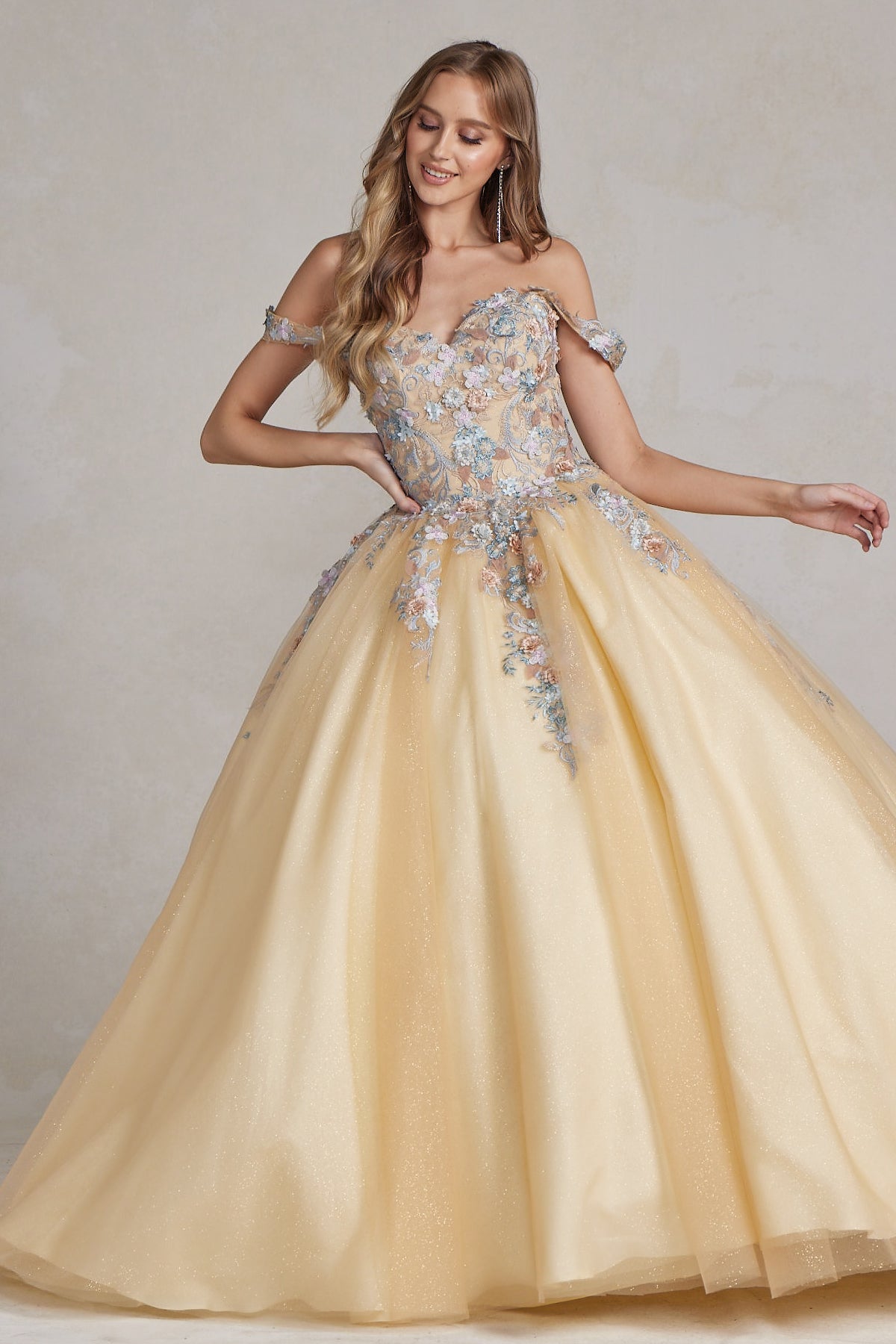 Off Shoulder Embroidered Lace Bodice Long Quinceanera Dress NXJU809