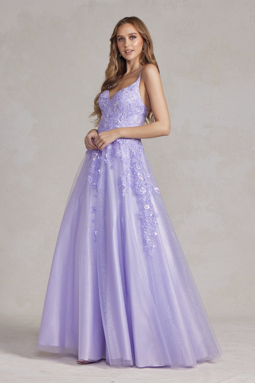 A-Line Embroidered Lace Open Criss Cross Back Long Prom Dress NXE1178