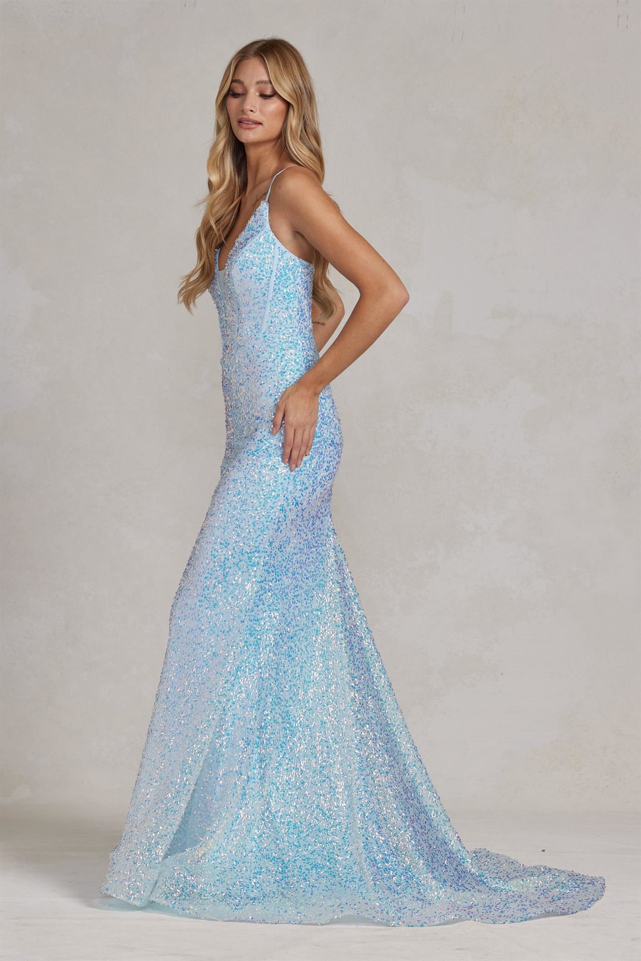 Embroidered Sequins Illusion V-Neck Open Back Mermaid Long Evening Dress NXC1094