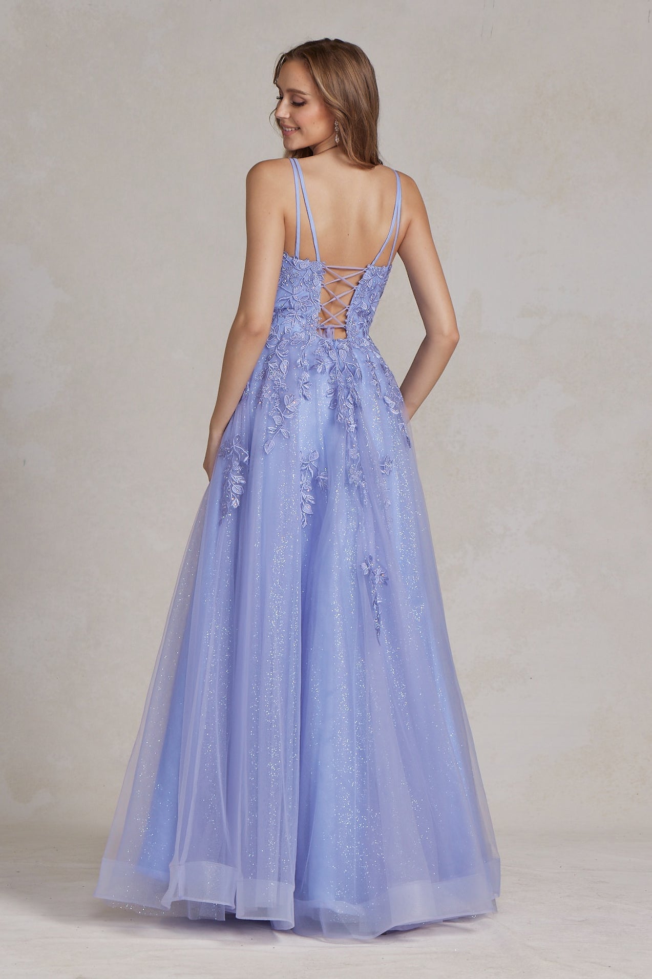 Illusion V-Neck Embroidered Lace Straps Open Back Long Prom Dress NXT1136