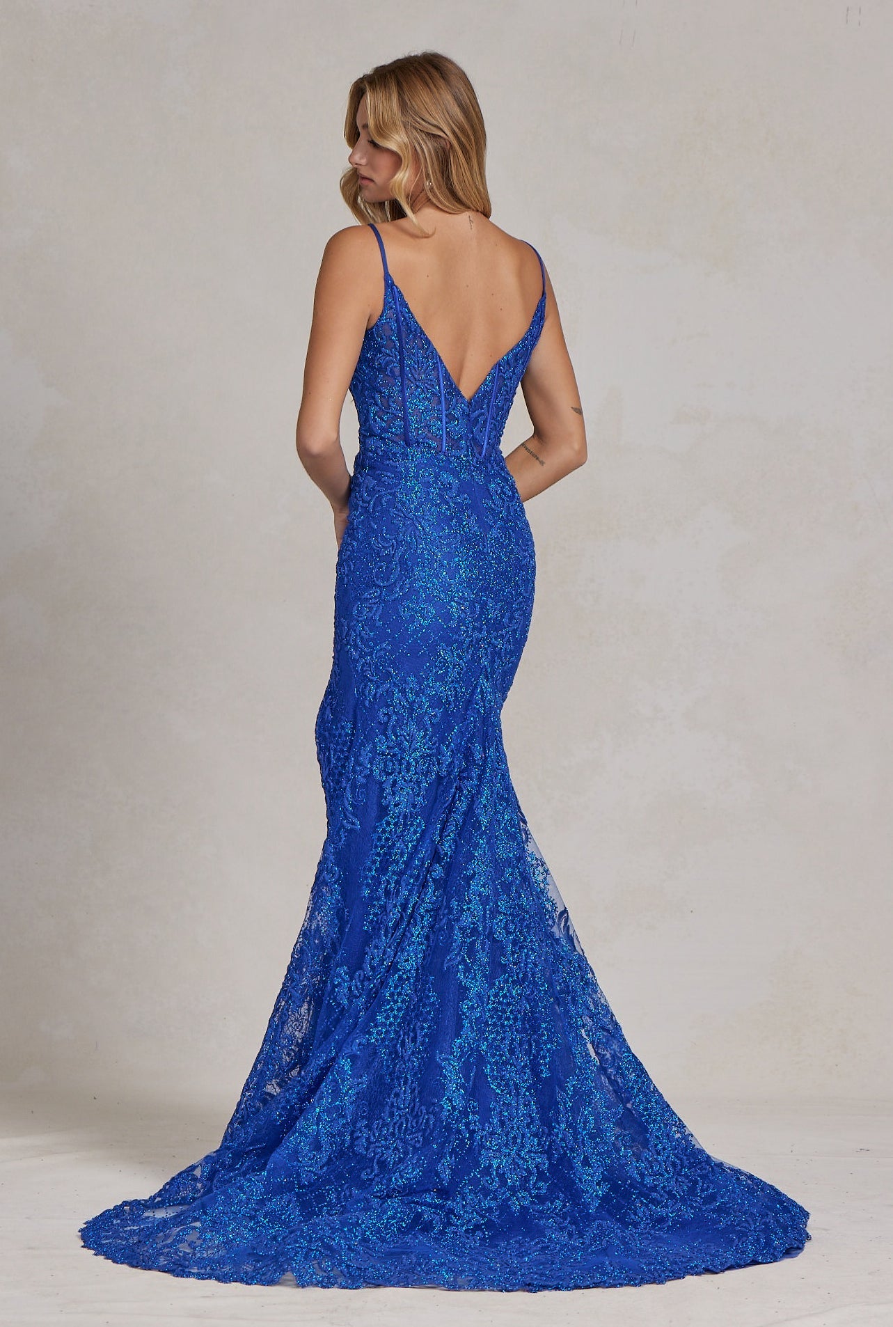 Side Slit Embroidered Lace Bodice Open V-Back Long Prom Dress NXC1100