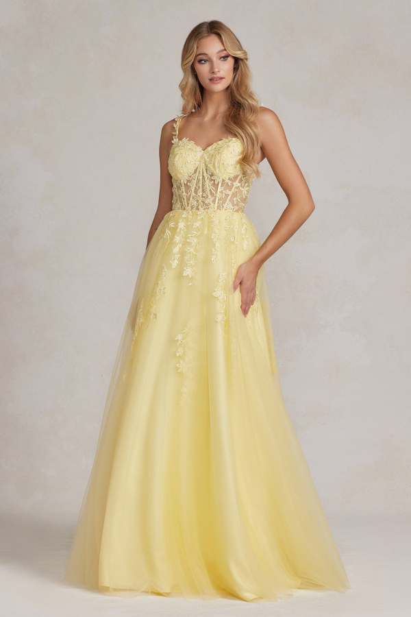 A-Line Embroidered Bodice Sweetheart Open Back Long Prom Dress NXT1082