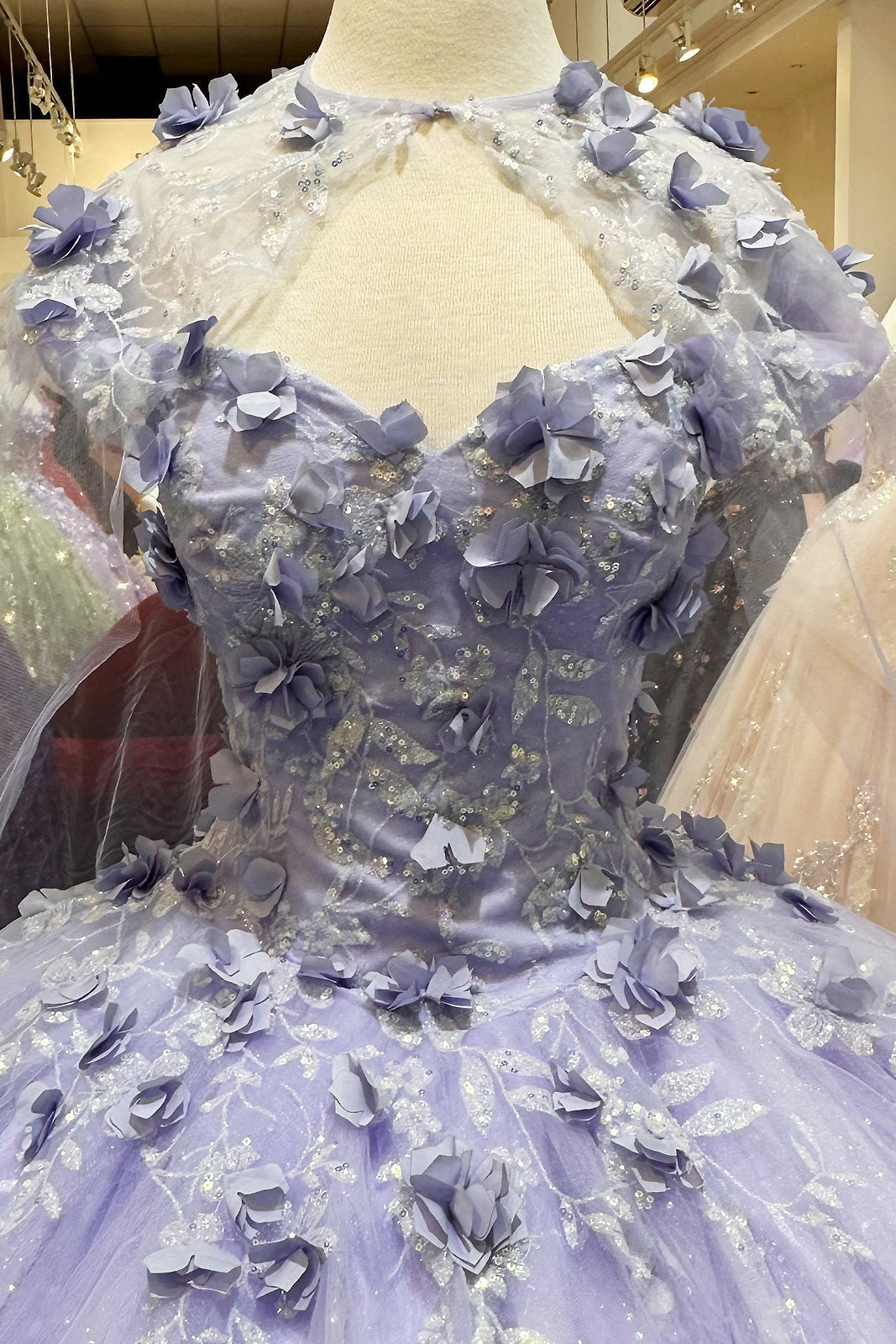 Glitter 3D Flower Applique Mesh w/ Long Mesh Cape Long Quinceanera Dress GLGL3179