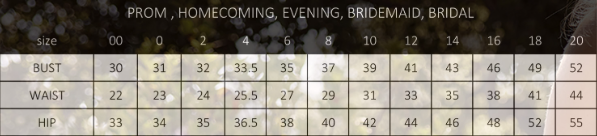 Sheer 3/4 Sleeves Embroidered Lace V-Neck Long Mother of the Bride Dress NXJQ503