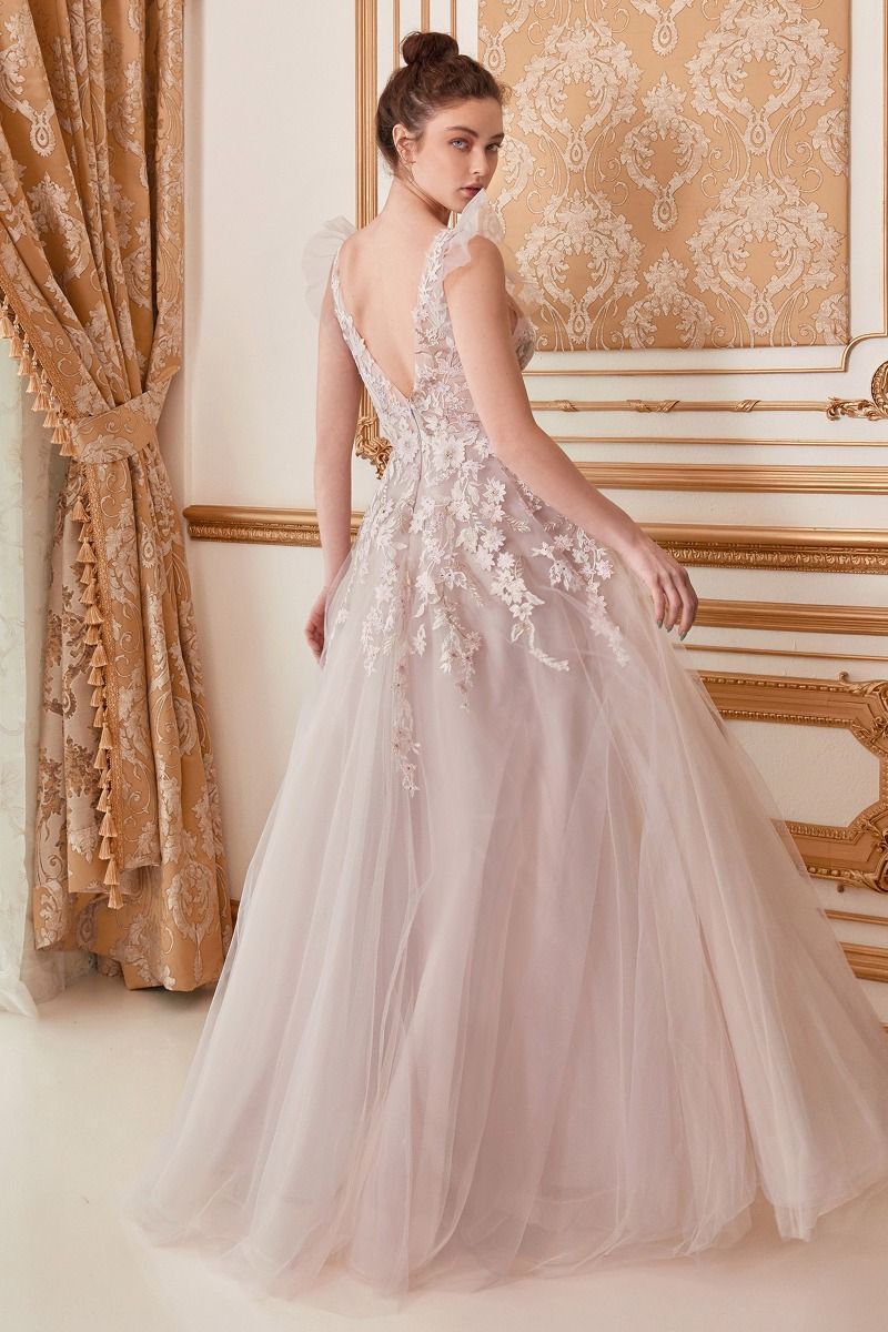Lennox Floral Illusion V-Neck Open V-Back A-Line Long Prom Dress CDA1018