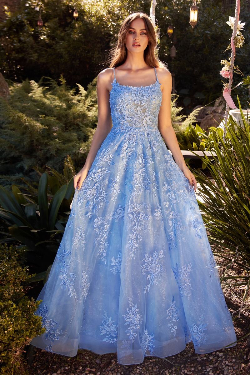 Sky Blue & Sage Green Embroidered Tulle Ball Gown | Floral A-Line Dress with Spaghetti Straps  CDA1248