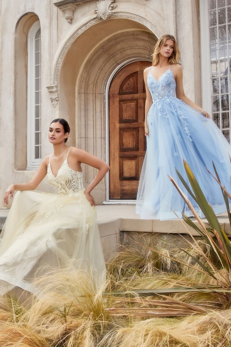 Alicia Floral Embroidery Tender V-neck Open Back A-line Long Prom & Bridesmaid Dress CDA1191 - PrimePick