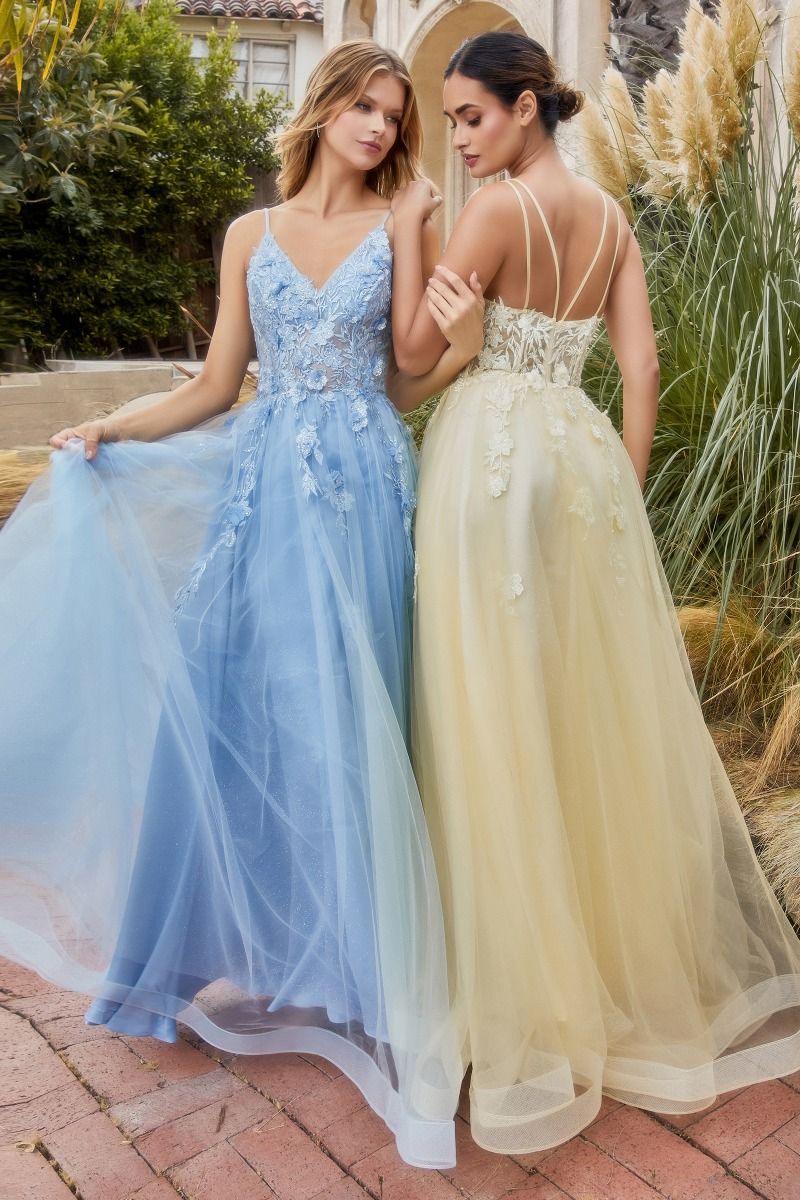 Alicia Floral Embroidery Tender V-neck Open Back A-line Long Prom & Bridesmaid Dress CDA1191 - PrimePick