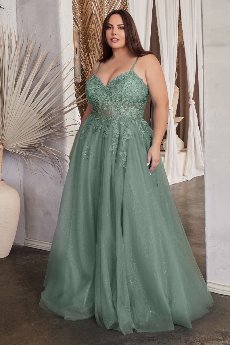 A-Line Lace & Tulle Embroidered Bodice Plus Size Long Prom Dress CDC148C