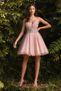 Blush, Burgundy, Sky Blue Floral Appliqué Glitter Tulle Short Dress  CDCD0190