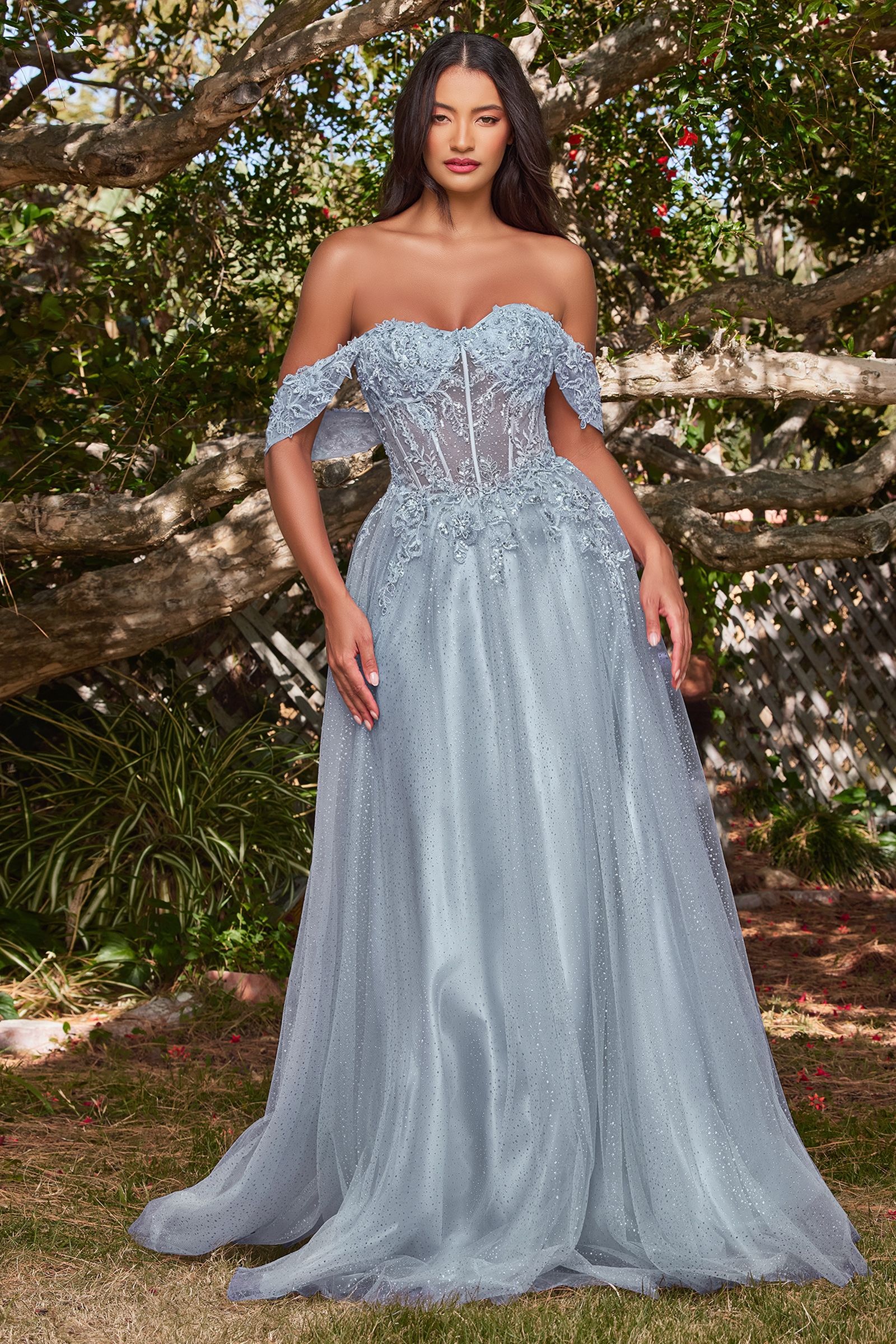 Lilac, Silver Blue, Wine Red Glitter Off Shoulder A-Line Gown with Corset Bodice  CDCD0198