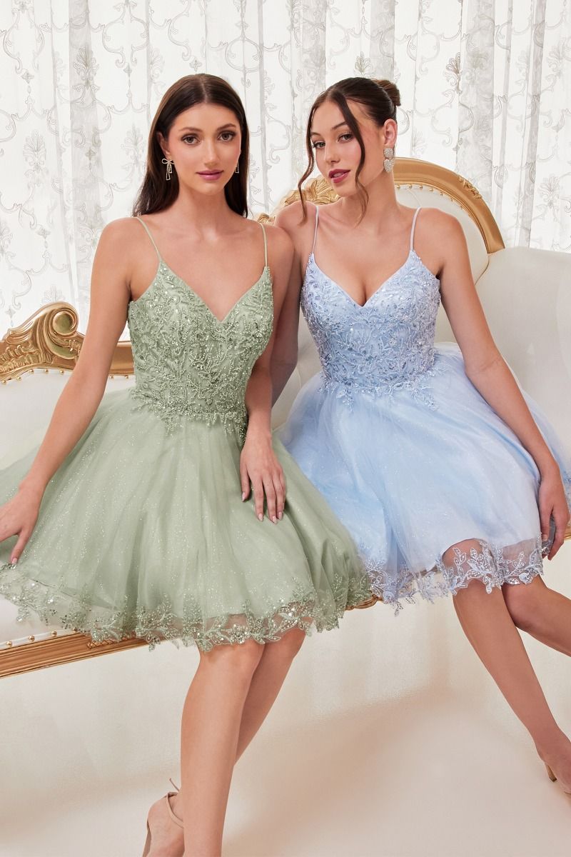 SHORT A-LINE LACE & TULLE DRESS