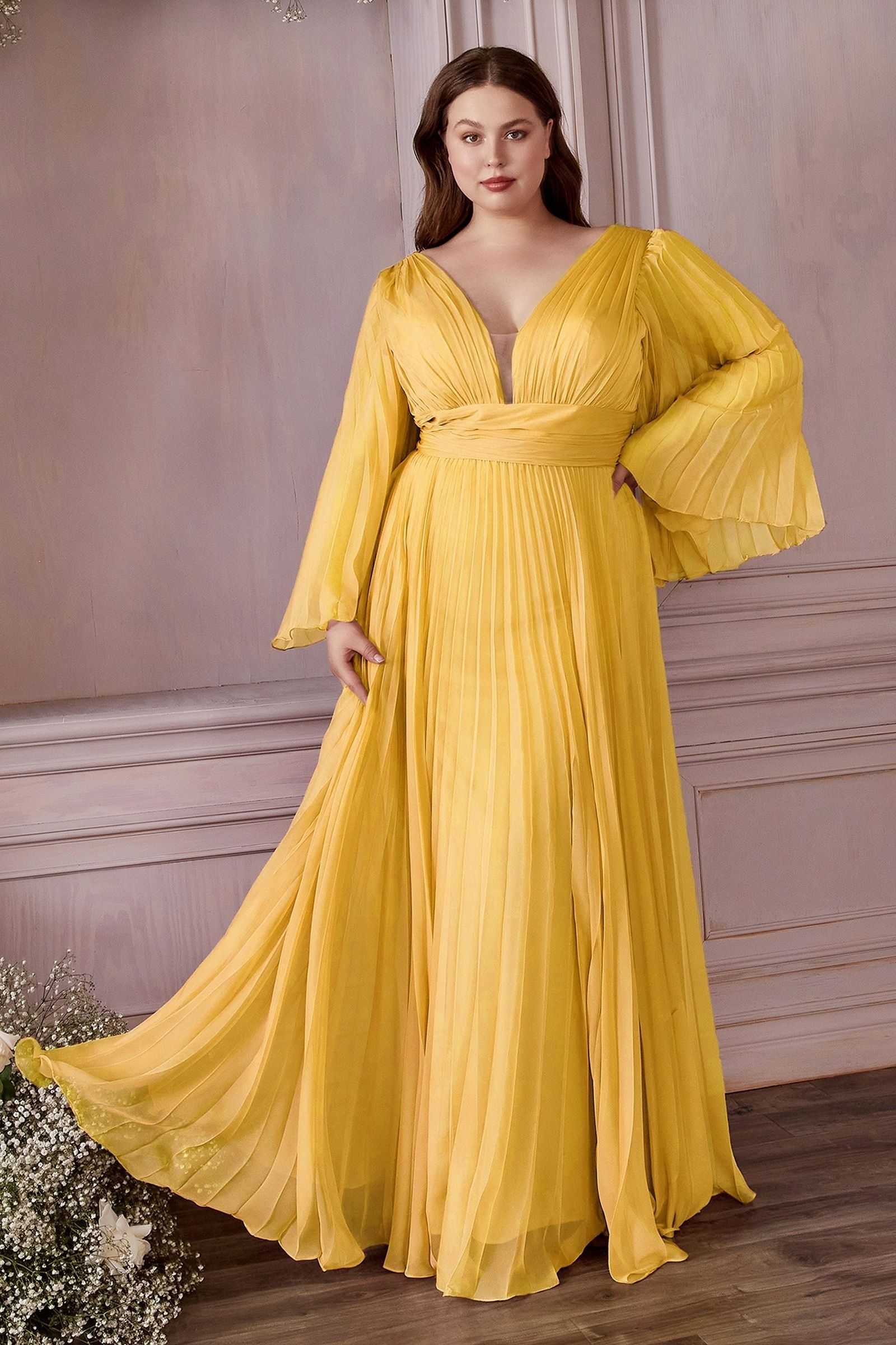 Chiffon Gown, Long Sleeve CDCD242C