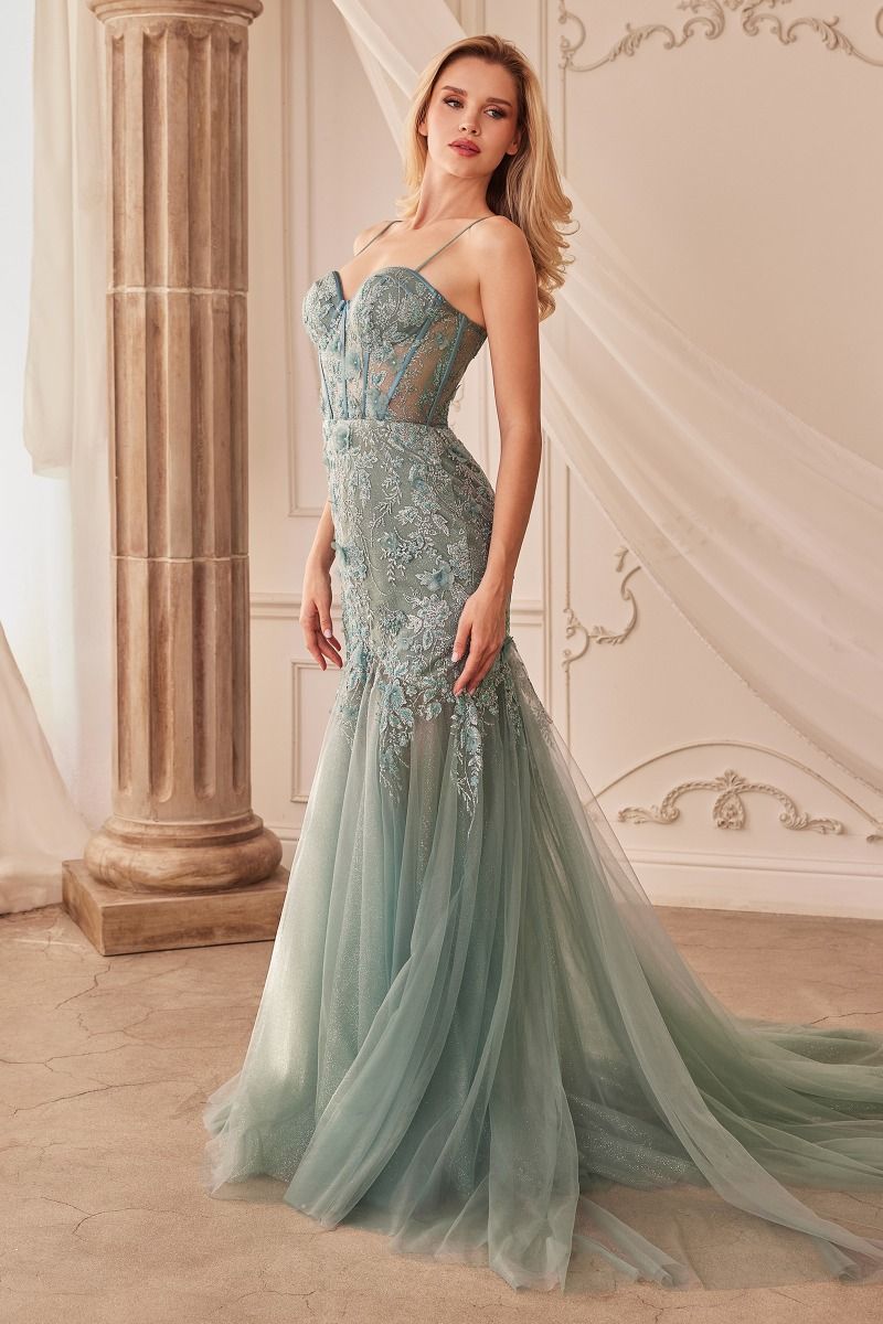 FIT & FLARE EMBELLSIHED GOWN CDA1232 - PrimePick