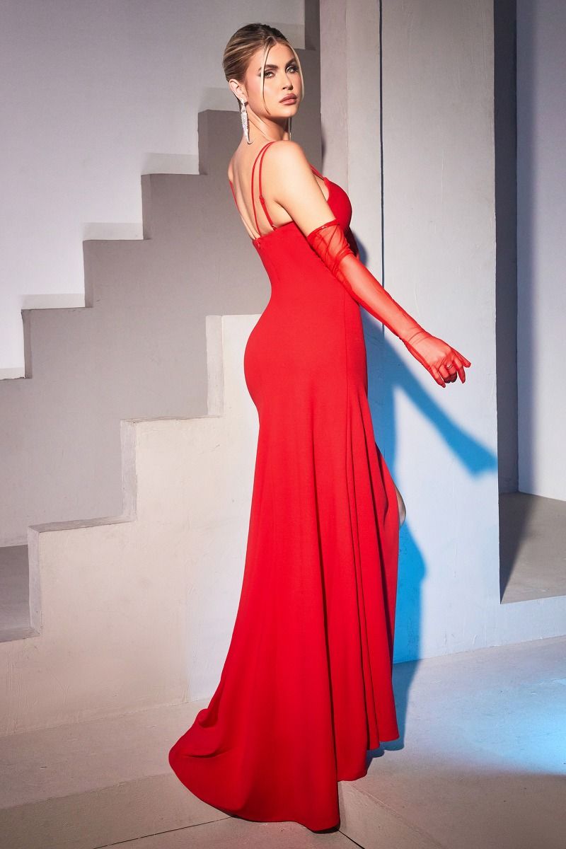Fitted gown, tulle cut-outs CDCH136 - PrimePick