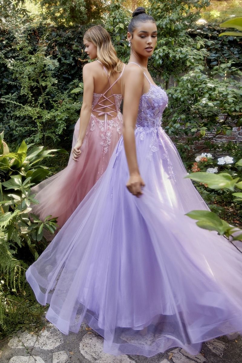 Fluttering Butterfly Applique A-Line Scoop Neck Laced Open Back Floral Long Prom Dress CDA1141 - PrimePick
