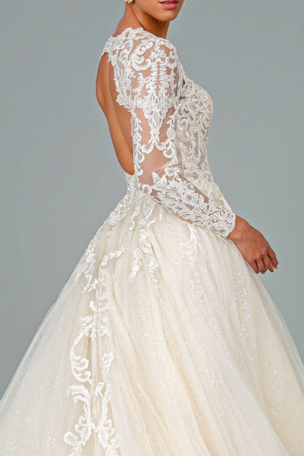 Illusion V-Neck Embroidered Mesh w/ Sequin Lining Long Wedding Dress GLGL1804