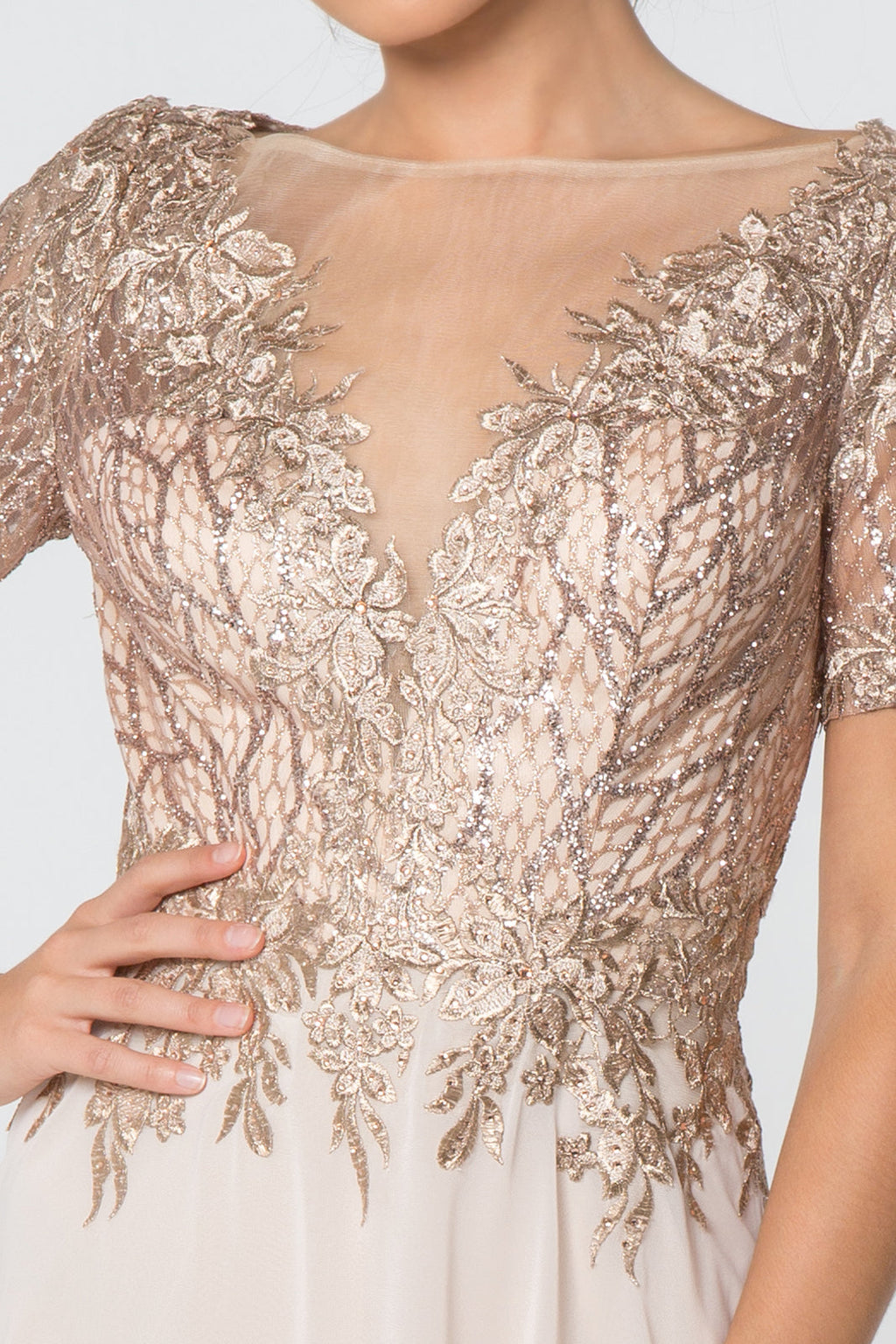 Lace Embellished Illusion V-Neck Long Mother Of The Bride Dress GLGL2826