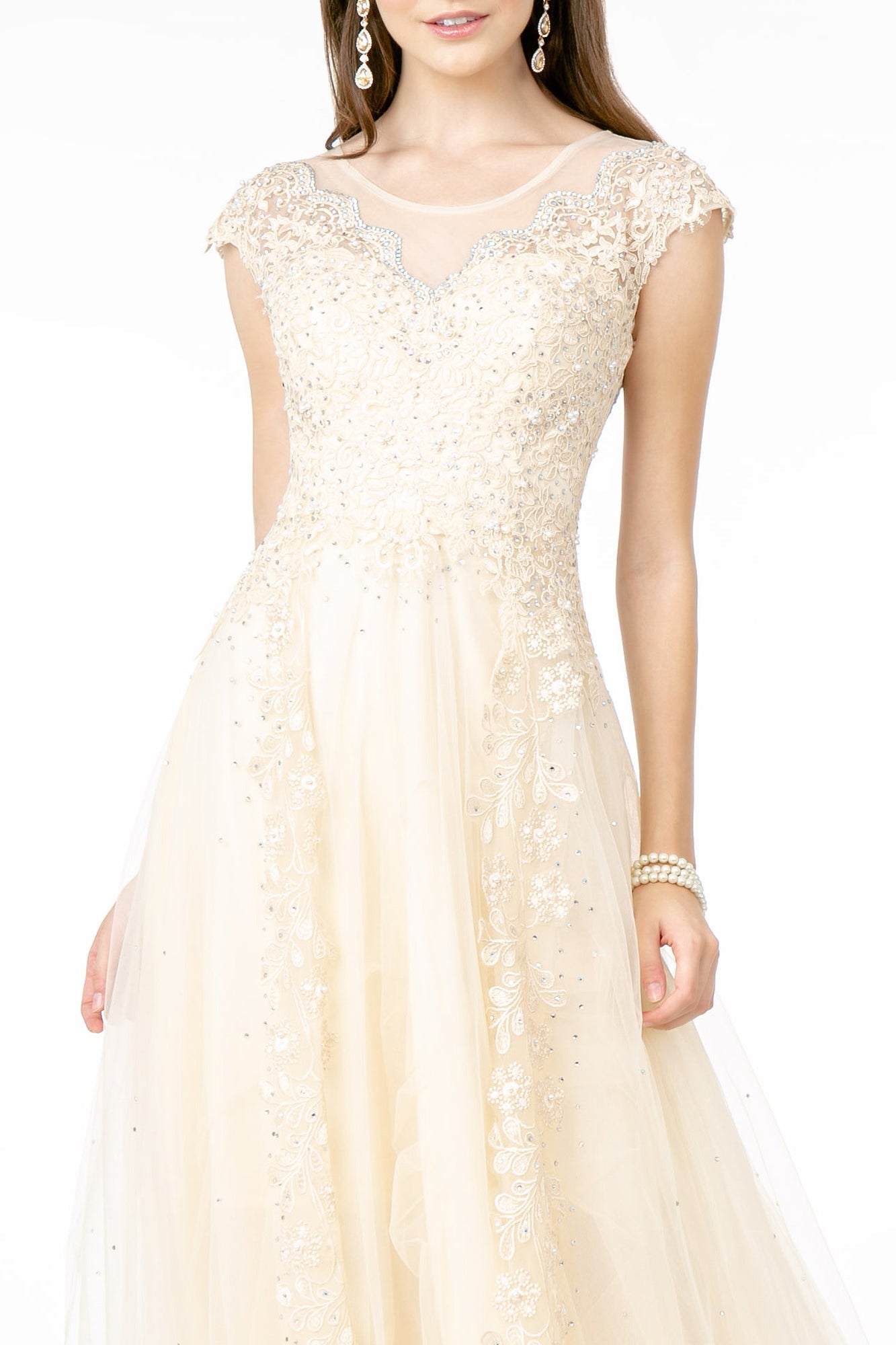 Embroidered Mesh A-Line w/ Sheer Back Long Prom Dress GLGL2882