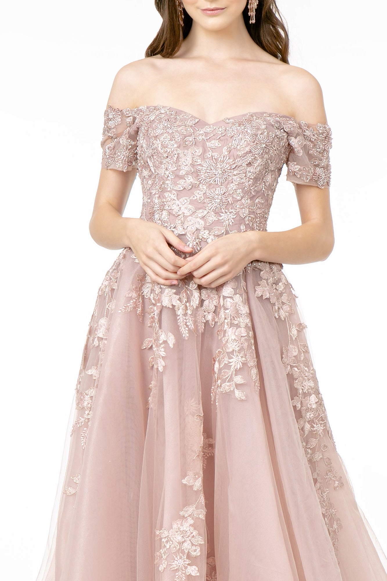 Embroidered Mesh A-Line w/ V-Back Long Prom Dress GLGL2885