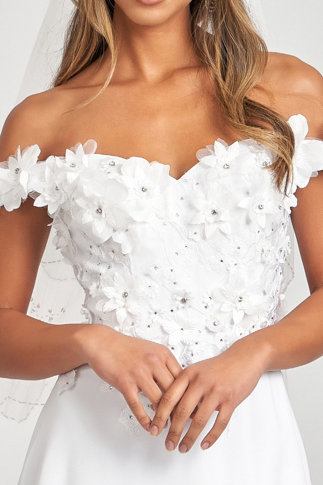 Floral 3D Applique and Embroidery Embellished Bodice A-Line Chiffon Long Prom Dress GLGL3018