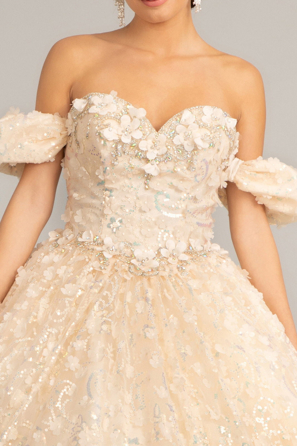Jewel Embellished Mesh w/ 3D Applique and Corset Quinceanera Ball Dress GLGL3019