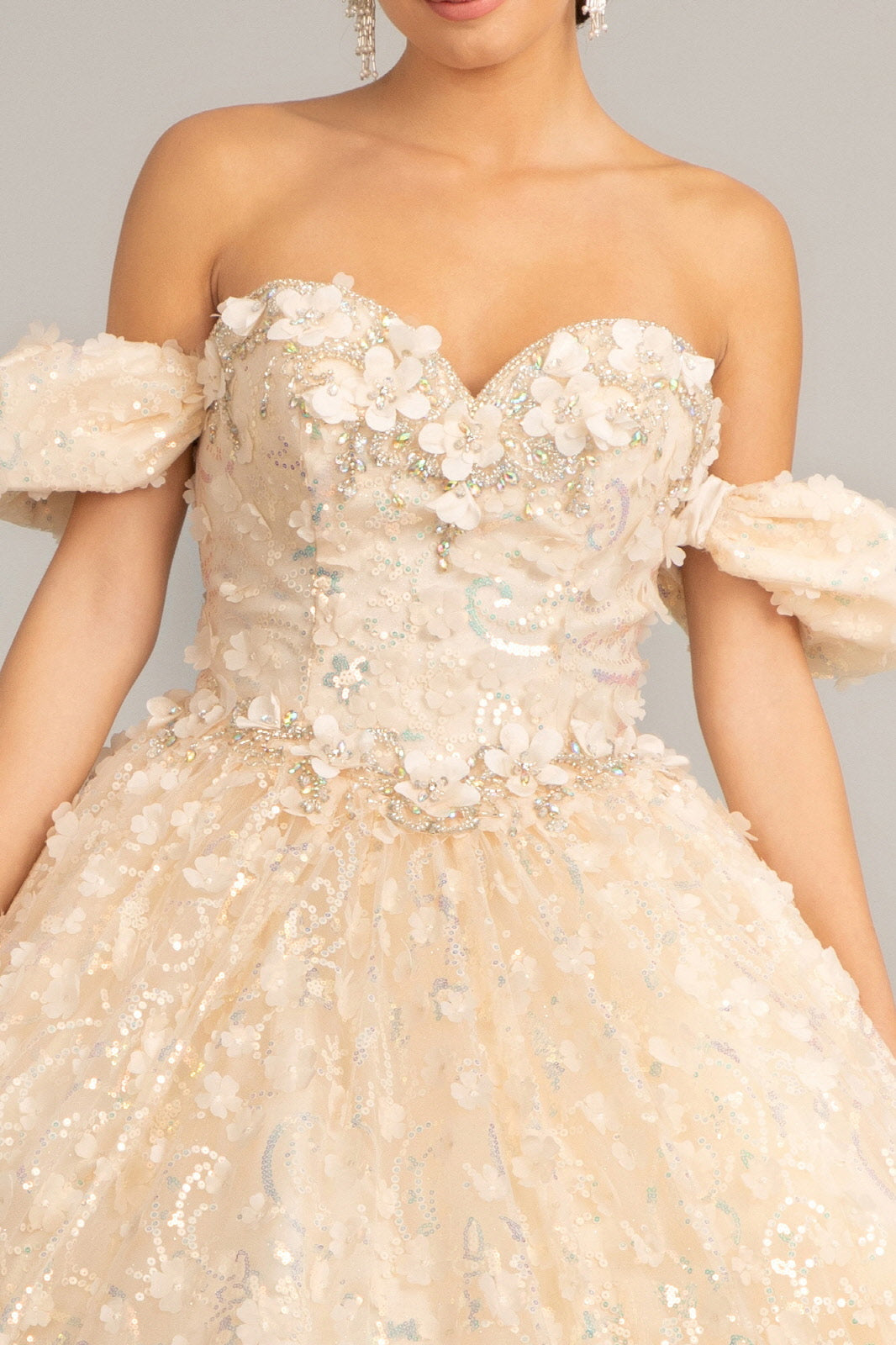 Jewel Embellished Mesh w/ 3D Applique and Corset Quinceanera Ball Dress GLGL3019