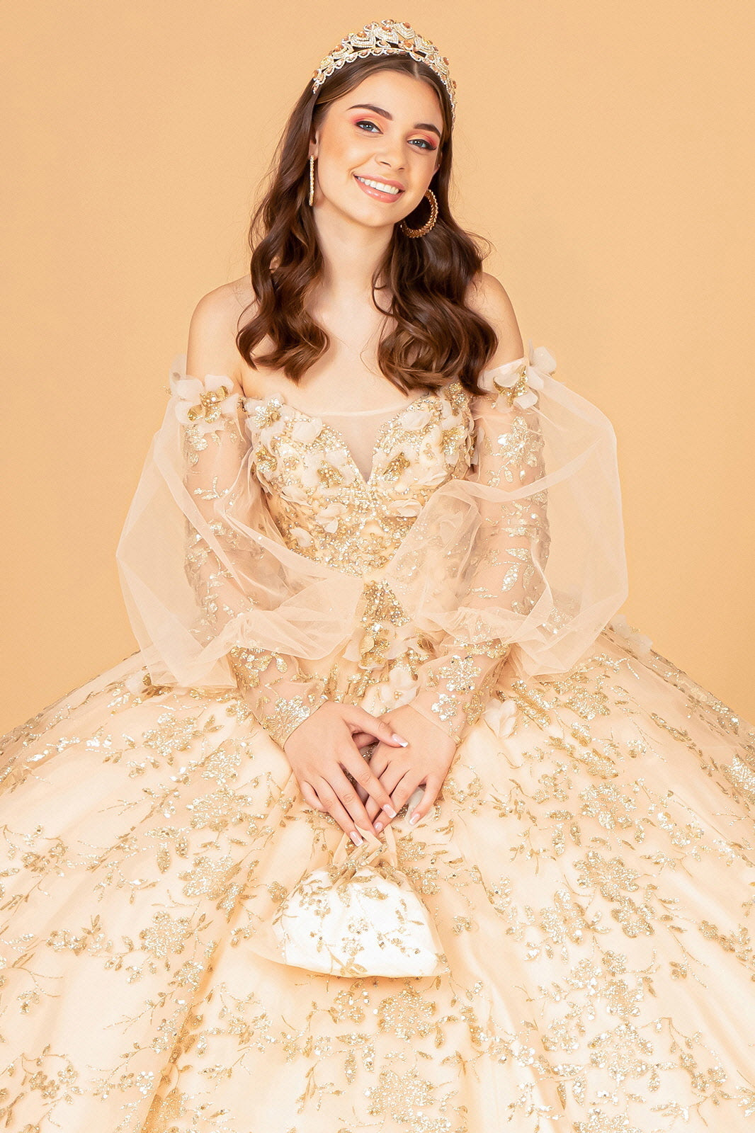 Mesh Long Sleeves w/ Detachable Ribbon and Mini Bag Quinceanera Dress GLGL3071