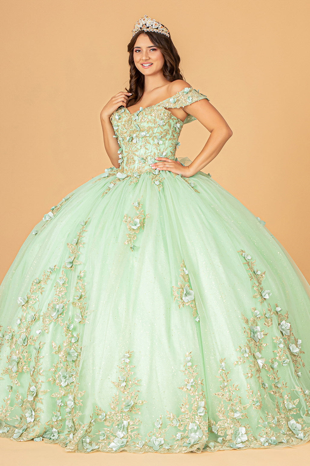 3D Flower Applique Sweetheart Neckline Mesh Quinceanera Ball Dress GLGL3102