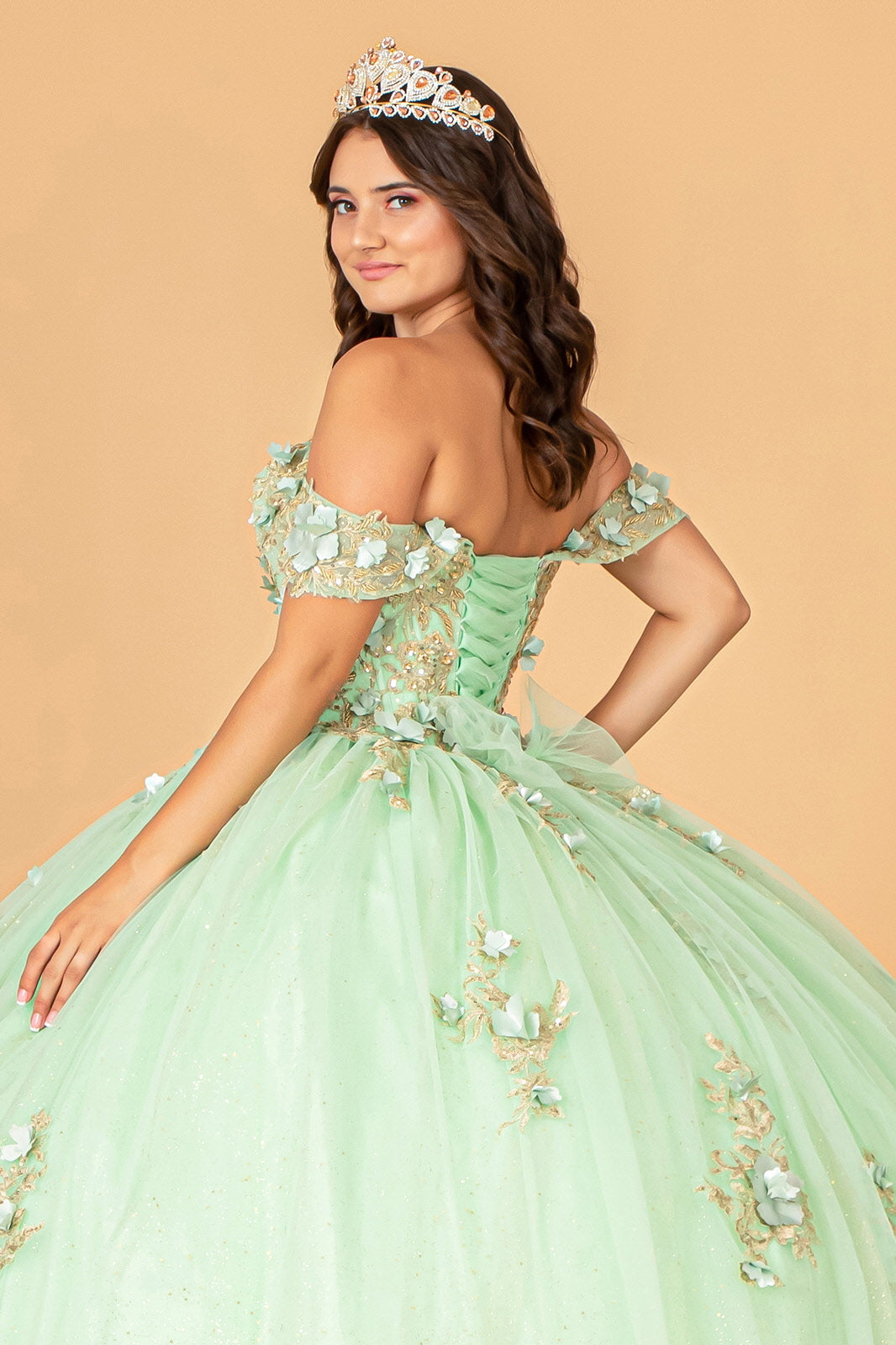 3D Flower Applique Sweetheart Neckline Mesh Quinceanera Ball Dress GLGL3102