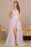 Feather Sheer Bodice Asymmetric A-line w/ Flower Applique Long Prom Dress GLGL3134