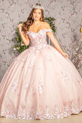 3D Flower Applique Jewel Mesh w/ Long Tail Long Quinceanera Dress GLGL3182