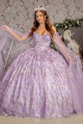 Jewel 3D Butterfly Mesh w/ Long Sheer Sleeve Drapes Long Quinceanera Dress GLGL3451