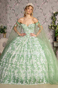 Jewel 3D Butterfly Mesh w/ Long Sheer Sleeve Drapes Long Quinceanera Dress GLGL3451
