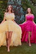 HIGH LOW RUFFLED TULLE GOWN WITH FEATHER DETAILS CDA1240 - PrimePick