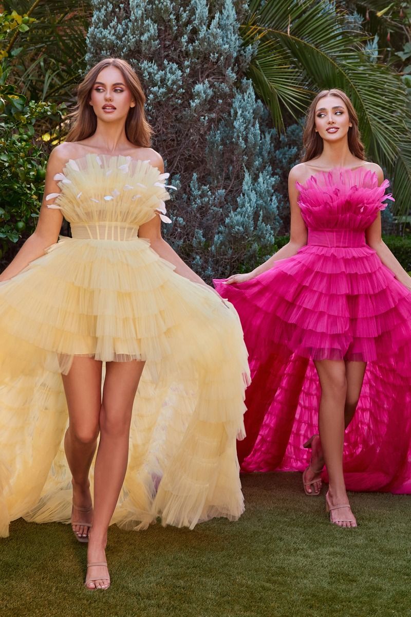HIGH LOW RUFFLED TULLE GOWN WITH FEATHER DETAILS CDA1240 - PrimePick