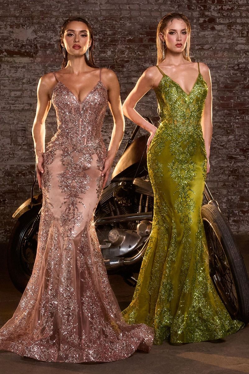 Luxury V-neck Gown with Sheer Corset & Floral Glitter Print CDJ810